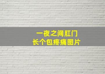 一夜之间肛门长个包疼痛图片