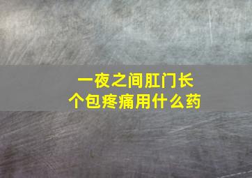 一夜之间肛门长个包疼痛用什么药