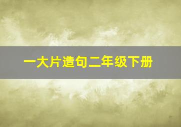 一大片造句二年级下册