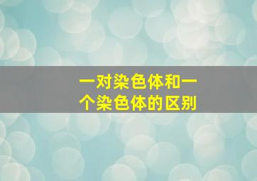 一对染色体和一个染色体的区别