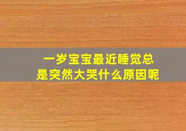 一岁宝宝最近睡觉总是突然大哭什么原因呢