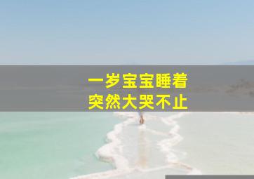 一岁宝宝睡着突然大哭不止