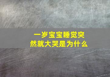 一岁宝宝睡觉突然就大哭是为什么