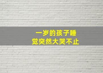 一岁的孩子睡觉突然大哭不止