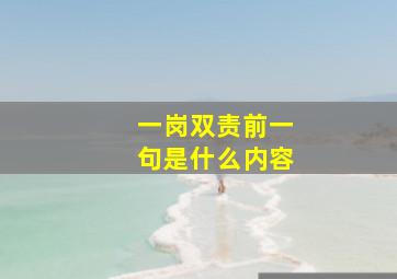 一岗双责前一句是什么内容