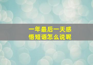 一年最后一天感悟短语怎么说呢