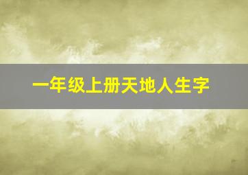 一年级上册天地人生字