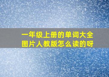 一年级上册的单词大全图片人教版怎么读的呀