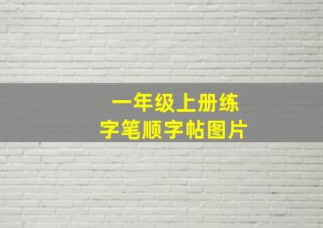 一年级上册练字笔顺字帖图片