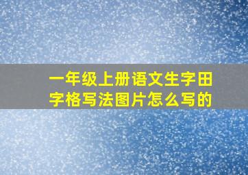 一年级上册语文生字田字格写法图片怎么写的