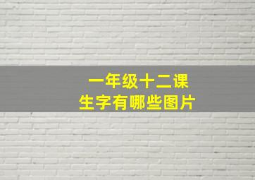 一年级十二课生字有哪些图片