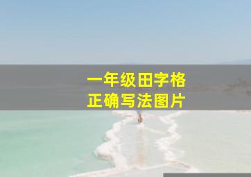 一年级田字格正确写法图片