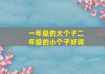 一年级的大个子二年级的小个子好词