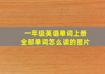 一年级英语单词上册全部单词怎么读的图片