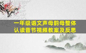 一年级语文声母韵母整体认读音节视频教案及反思