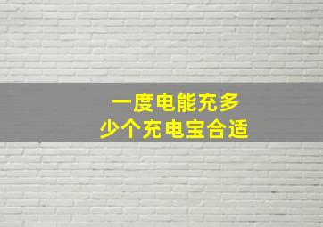 一度电能充多少个充电宝合适