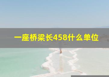 一座桥梁长458什么单位