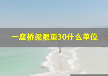 一座桥梁限重30什么单位