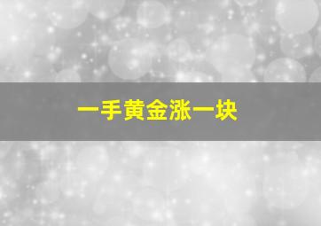 一手黄金涨一块