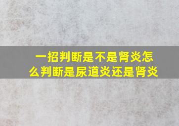 一招判断是不是肾炎怎么判断是尿道炎还是肾炎