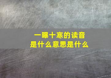 一曝十寒的读音是什么意思是什么