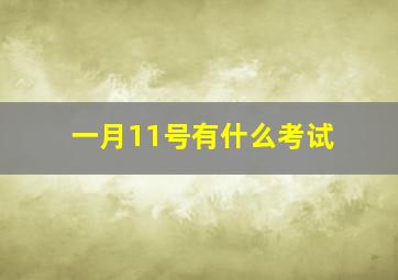 一月11号有什么考试