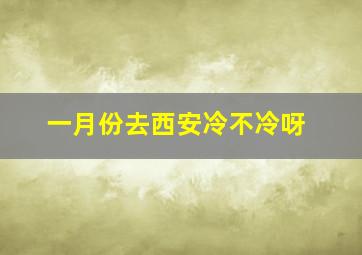 一月份去西安冷不冷呀