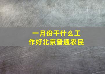 一月份干什么工作好北京普通农民