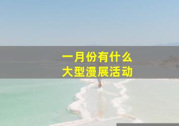 一月份有什么大型漫展活动