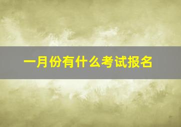 一月份有什么考试报名