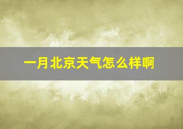 一月北京天气怎么样啊