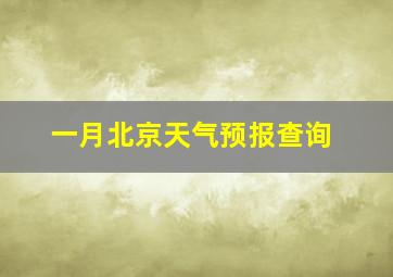 一月北京天气预报查询