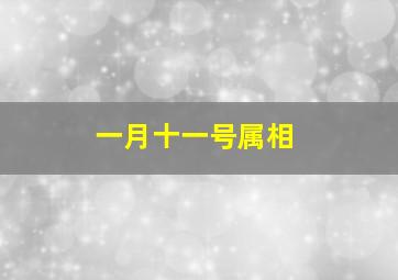 一月十一号属相