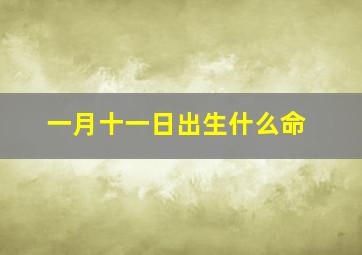 一月十一日出生什么命