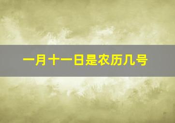 一月十一日是农历几号