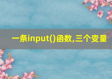 一条input()函数,三个变量