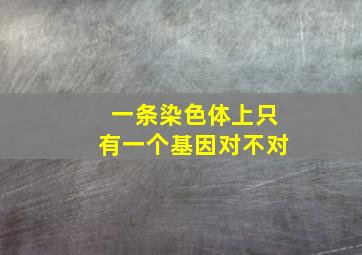 一条染色体上只有一个基因对不对