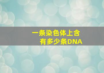 一条染色体上含有多少条DNA