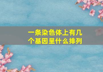 一条染色体上有几个基因呈什么排列