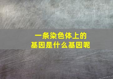 一条染色体上的基因是什么基因呢