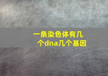 一条染色体有几个dna几个基因