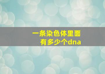 一条染色体里面有多少个dna