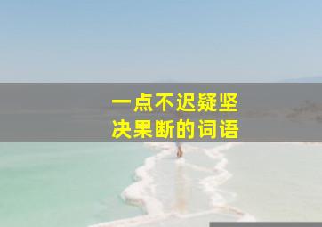 一点不迟疑坚决果断的词语