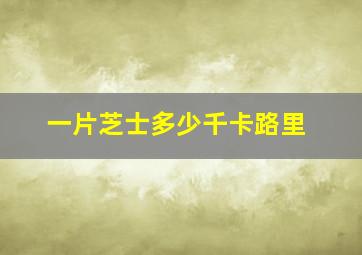 一片芝士多少千卡路里