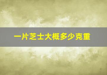 一片芝士大概多少克重