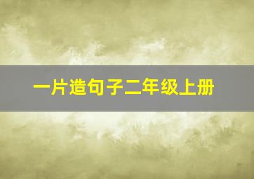 一片造句子二年级上册