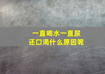 一直喝水一直尿还口渴什么原因呢