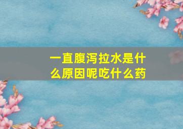 一直腹泻拉水是什么原因呢吃什么药