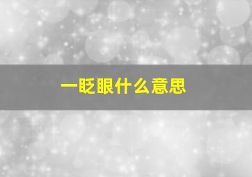 一眨眼什么意思