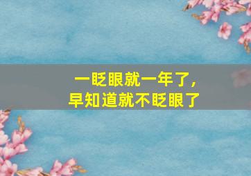 一眨眼就一年了,早知道就不眨眼了